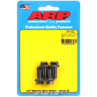 Camshaft Bolt Kit - Cam Retainer Plate Bolts (134-1002)