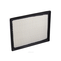 Air Filter (A1358)