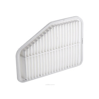 Air Filter (A1557)