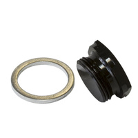 Aeroflow HOLLEY INLET BOWL BLANK PLUG BLACK 7/8'' X 20 PLUG / BLANK