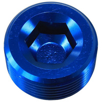 Aeroflow NPT PLUG 1'' BLUE 1'' NPT
