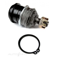Ball Joint Front Lower Outer (BJ291)