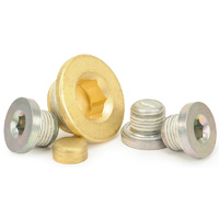 Engine Plug Kit - Suit GM LS Series Engines