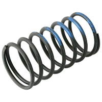 Wastegate Spring - Suit Ultra-Gate, Comp-Gate & Hyper-Gate, 10 PSI Outer Spring, Brown / Blue (TS-0505-2005)