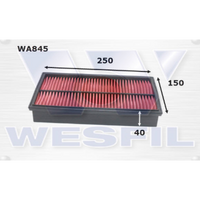 Air Filter (WA845)