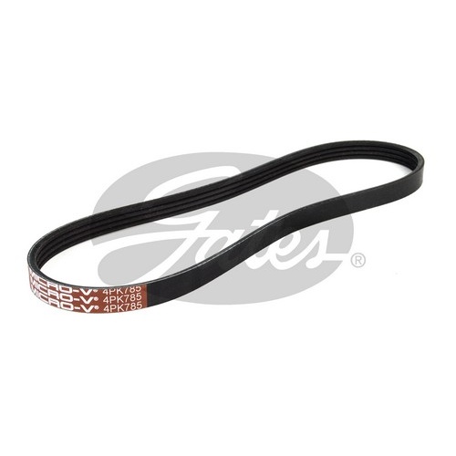 Alternator Belt (4PK785)
