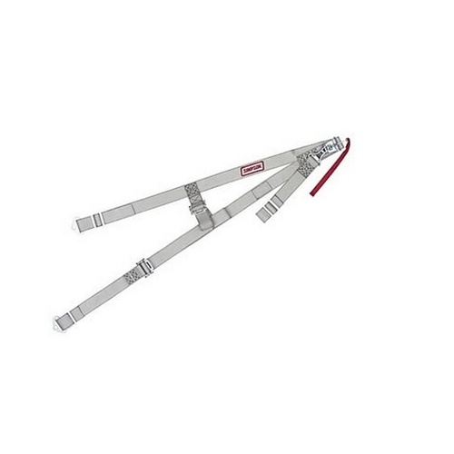 Right Side Cage Net - Platinum Colour (Silver), Adjustable