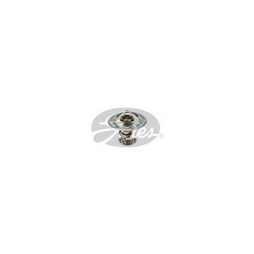 Thermostat (TH56189G1)